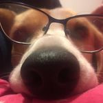 bev goodwill - @bev_goodwill - Instagram