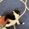 Goodbev - @goodbev - TikTok