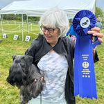 Bev Goodman - @bevgoodman - Instagram