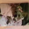beverlygordon600 - @beverlygordon600 - TikTok