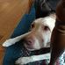 Beverly Gorman - Facebook