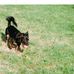 Beverly Gorman - Facebook