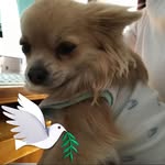 Bev Grant - @bev.grant.712 - Instagram