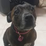 Bev Grant - @bev.grant.180 - Instagram