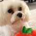 Bev Gray - Facebook