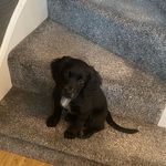 Bev Gregory - @bev100816 - Instagram