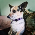 Bev Hancock - @triple_b_bev - Instagram