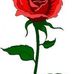 Bev Hansen - Facebook