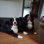 Bev Hansen - @bev.hansen2 - Instagram