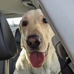 Bev Hansen Rosenbalm - @bevrosenbalm - Instagram