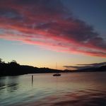 Bev Harris - @bevharris1973 - Instagram