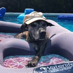 Bev Harris - @bevgharris - Instagram