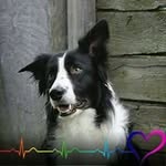 Bev Harvey - @bev.harvey.370 - Instagram