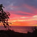 Bev Harvey - @beverlyharvey - Instagram