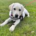 Bev Harvey - Facebook