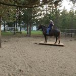 Bev Harvey - @dustytrail.8 - Instagram