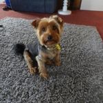 Bev Harvey - @harveydbev - Instagram