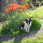 Bev Harvey - Facebook
