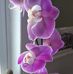 Bev Litwiller - Harvey - Facebook