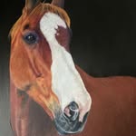Bev Henson - @hensonfineart - Instagram