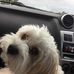 Bev Hicks - Facebook