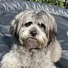 bevhiggins911 - @bevhiggins911 - TikTok