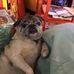 Bev Hill - Facebook