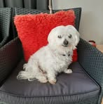 Bev Hodge - Facebook