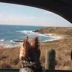Bev Hodge - @bev.hodge.9 - Instagram