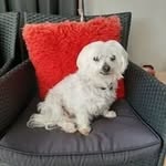 Bev Hodge - @hodge.bev - Instagram