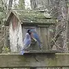 Bev Warner Hodge - @bev.warner.hodge - TikTok
