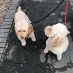 Beverley - @bevhodges56 - Instagram