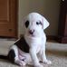 Bev Hoffman - Facebook