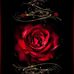 Beverly Hoffman - Facebook