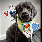 Bev Holden - @bevyclare2 - Instagram