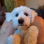 Bev Holthaus - @holthausbev - Instagram