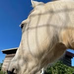 Bev Howells - @bev.howells.127 - Instagram