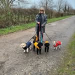 For my love of dogs - @bevhowell1963 - Instagram