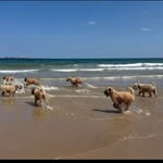 Bev Howes - @bev.howes.1 - Instagram