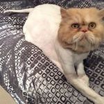 Bev Hudson - @beverlee.hudson - Instagram