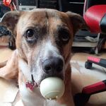 Bev Jackson - @bev.jackson.169 - Instagram