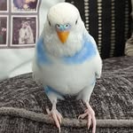 Bev James - @bevjames6 - Instagram