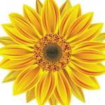 Bev Jensen - @bev.jensen.733 - Instagram