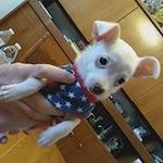 Bev Jensen - @bev6643 - Instagram