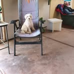 Bev Kerr - Facebook