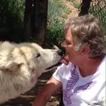 Bev Kerr McInis - @bevmcinis1 - Instagram