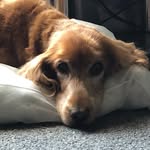 Bev Marshall - @bevdiane66 - Instagram