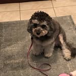 Bev Martin - @bevmartin212 - Instagram