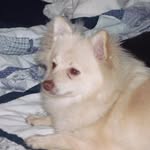 Bev Mills - @bevie1949 - Instagram