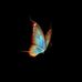Bev Nelson - Facebook